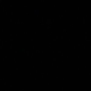 Meet your Posher, Sammy